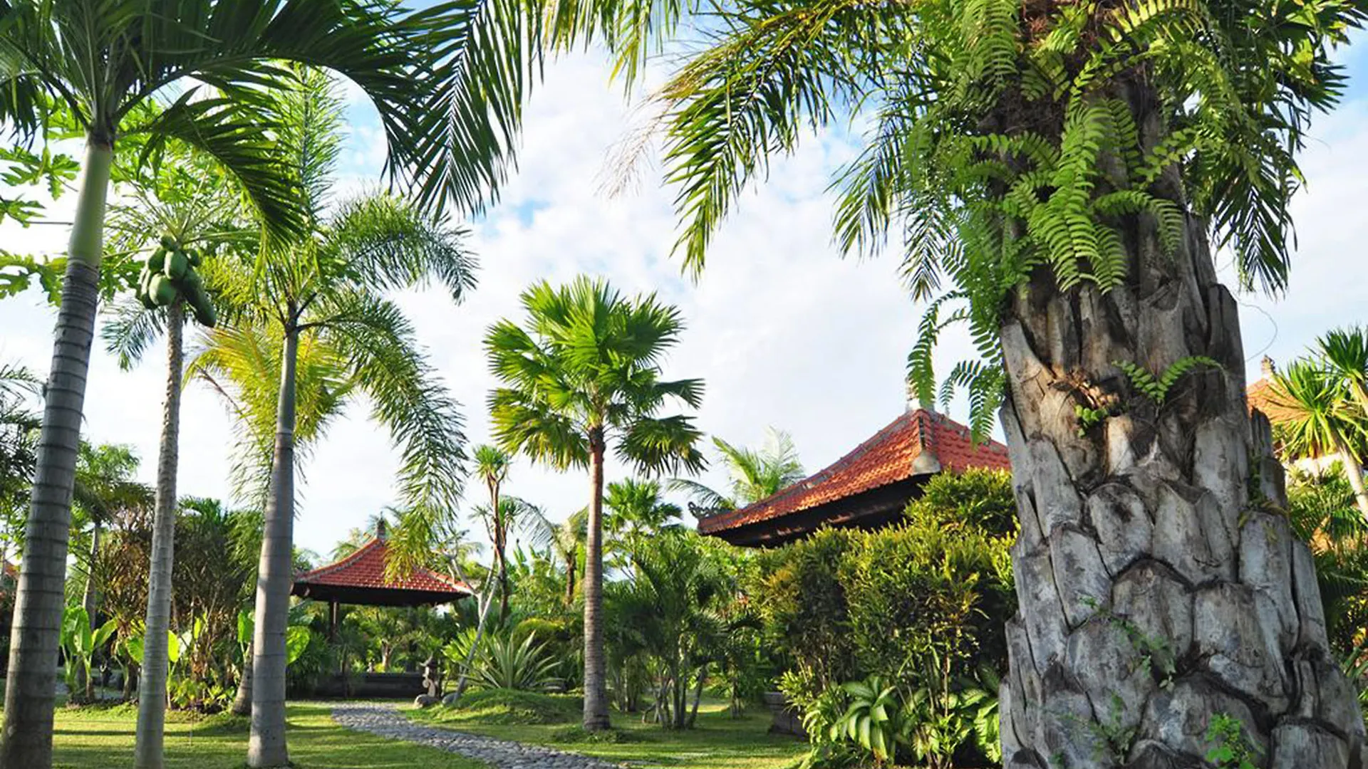 Bali Aroma Exclusive Villas Seminyak